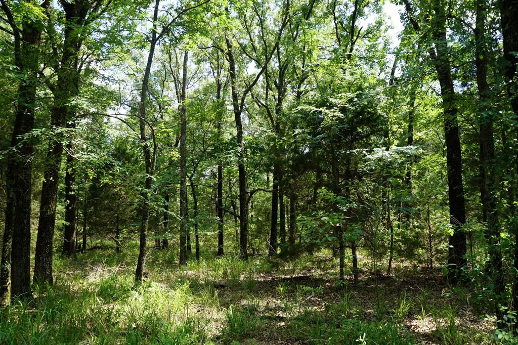 01 Cr-1403 - Photo 26