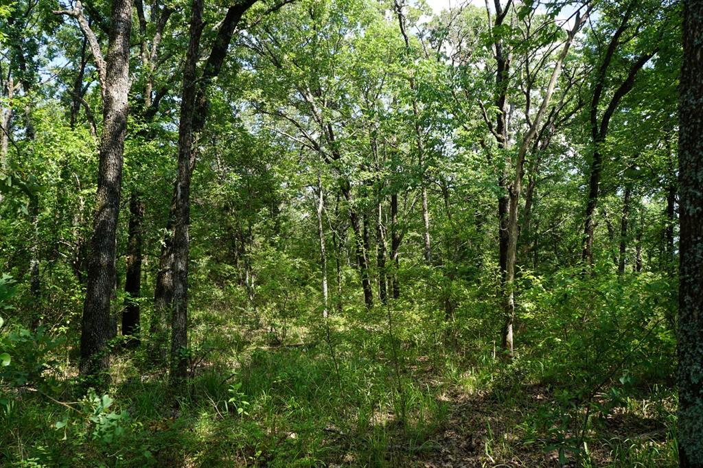 01 Cr-1403 - Photo 6