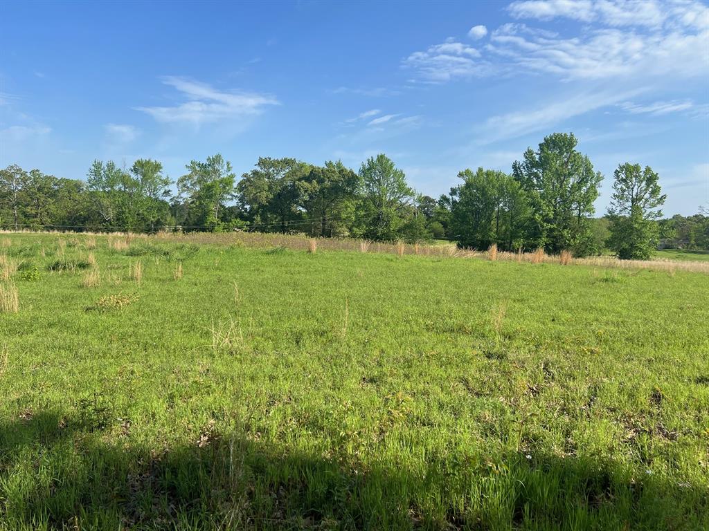 TBD CR 1755 - Photo 3