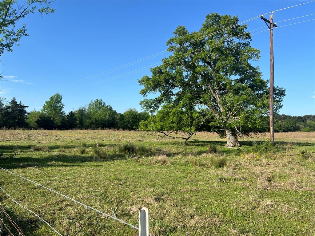 000 FM 1402 - Photo 2