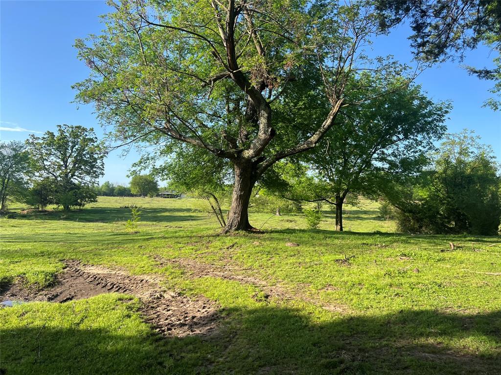00000 FM 1402 - Photo 3