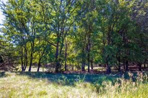 269 Private Road 2362 - Photo 34