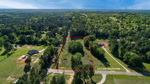 12842 Star Mountain - Photo 11