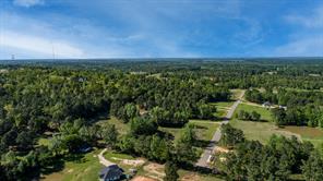 12842 Star Mountain - Photo 5