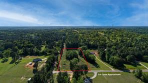 12842 Star Mountain - Photo 8