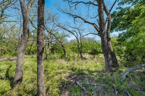 13000 Chalk Mountain Highway - Photo 11