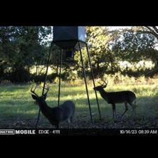 13000 Chalk Mountain Highway - Photo 31