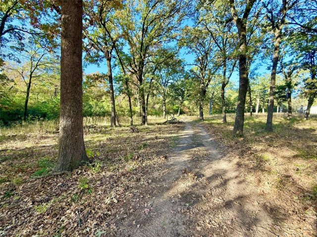 264 County Road 1452