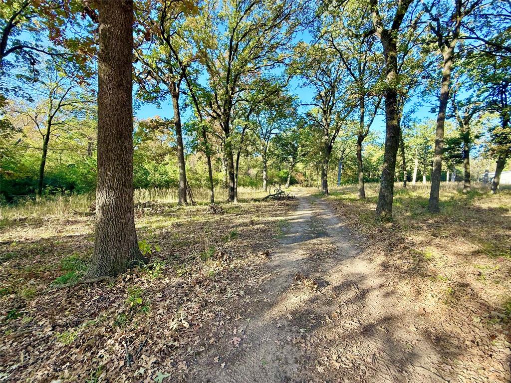 264 County Road 1452 - Photo 1