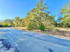 264 County Road 1452 - Photo 12