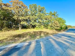 264 County Road 1452 - Photo 2