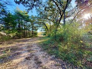 264 County Road 1452 - Photo 4