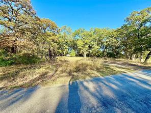 264 County Road 1452 - Photo 7