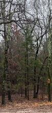 1291 RS CR 1150 - Photo 2