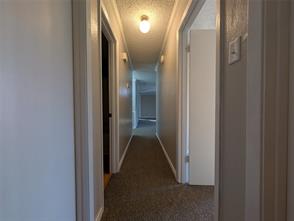 717 Bluebonnet Street - Photo 19