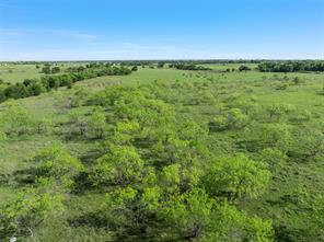 TBD 7 Mile Lane - Photo 15