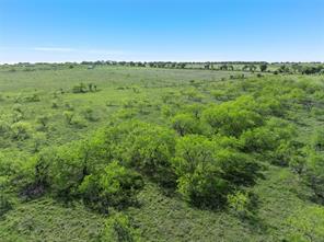 TBD 7 Mile Lane - Photo 16
