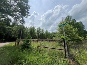 TBD CircleCR 4525 & 4345 Drive - Photo 2