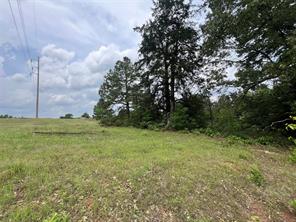 TBD CircleCR 4525 & 4345 Drive - Photo 4