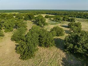 TBD County Road 615 - Photo 12