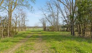 TBD County Road 14790 - Photo 4