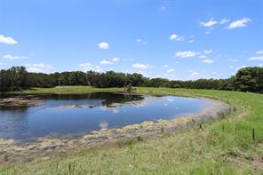 1485 County Road 224 - Photo 34