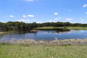 1485 County Road 224 - Photo 35
