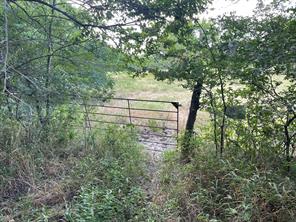 4005 County Rd 2825 - Photo 16