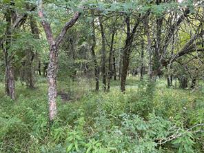 4005 County Rd 2825 - Photo 7