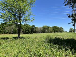 345 Wildflower Way - Photo 2