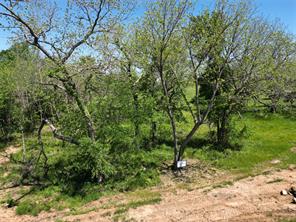 345 Wildflower Way - Photo 22