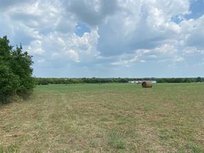 0000 TX-78 - Photo 2