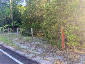 15591 County Road 525 - Photo 3
