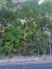 15591 County Road 525 - Photo 4