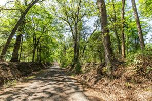 01 County Road 3322 - Photo 10