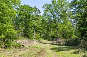 01 County Road 3322 - Photo 17