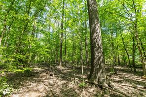 01 County Road 3322 - Photo 20