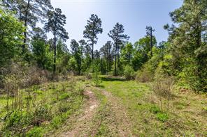 01 County Road 3322 - Photo 21