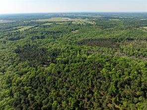 01 County Road 3322 - Photo 30