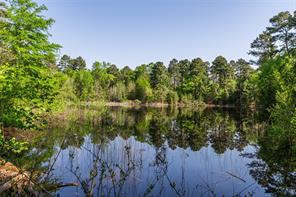 01 County Road 3322 - Photo 4