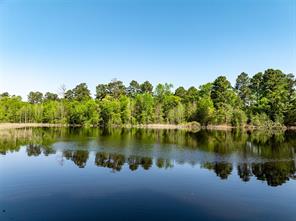 01 County Road 3322 - Photo 5