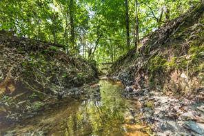 01 County Road 3322 - Photo 7