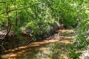 01 County Road 3322 - Photo 8
