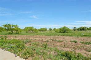 5000 Frost Creek - Photo 6