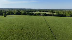 TBD 2 DRIPPING SPRINGS Road - Photo 19
