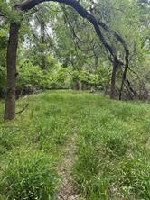 000 County Road 4757 - Photo 3