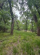 000 County Road 4757 - Photo 8