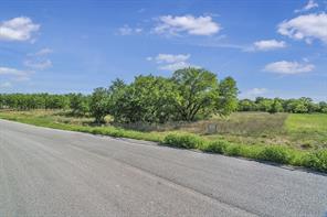 1053 Annabelles Avenue - Photo 3