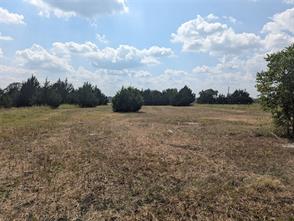11008 County Road 670 - Photo 10