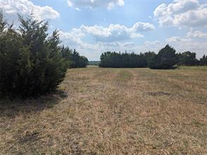 11008 County Road 670 - Photo 12